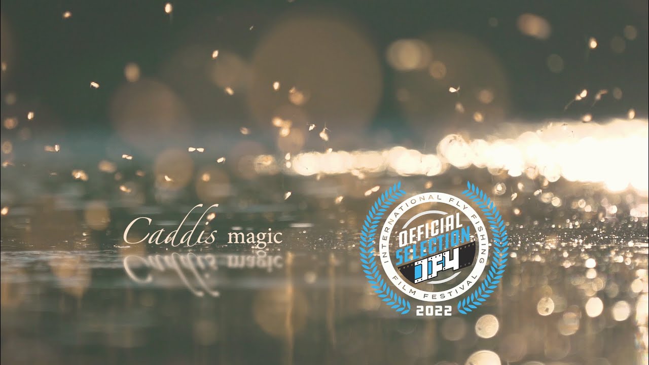 Caddis Magic — удостоенный наград короткометражный фильм — лучшее из мира нахлыстовой рыбалки!