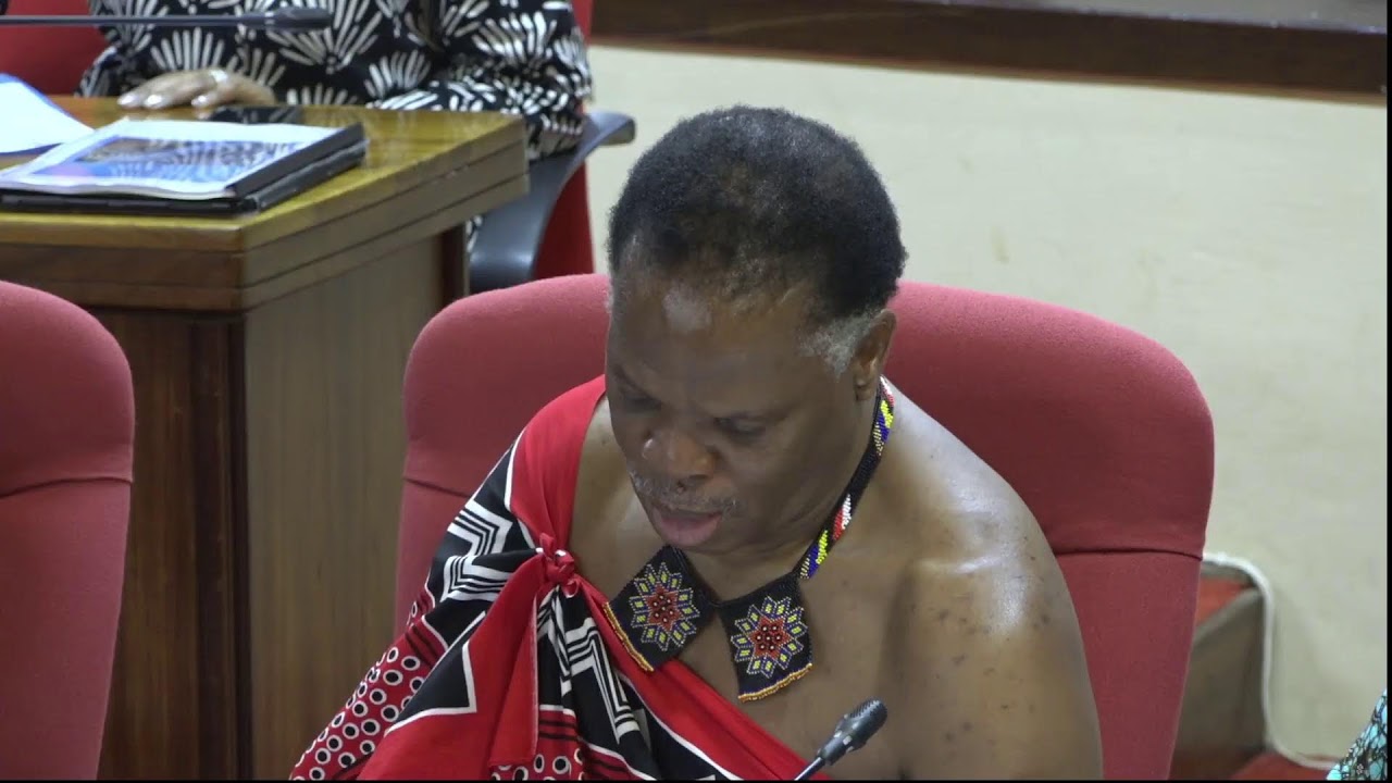House of Assembly: Portfolio Committee(s) - Ministry of Natural Resources and Energy