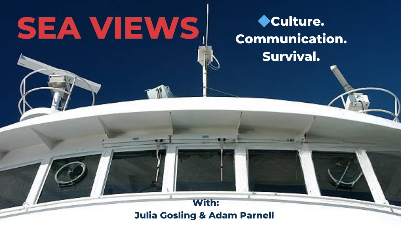 Sea Views #21: Bulk Carriers & Maritime Safety Culture  Sea Views
