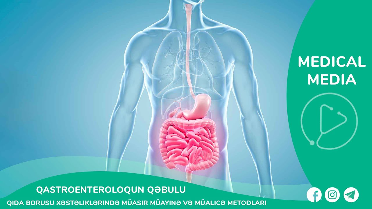 Qastroenteroloqun qəbulu - Qida borusu xəstəliklərində müasir müayinə və müalicə metodları