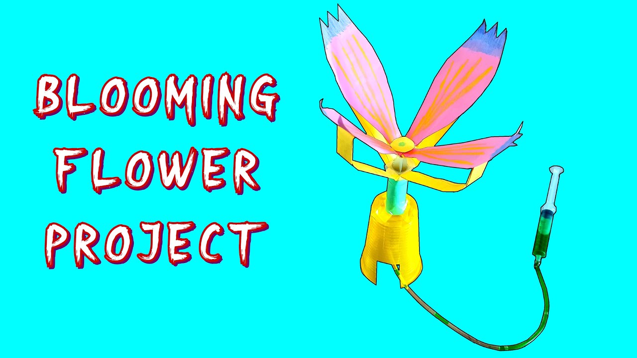 DIY Blooming Flower | Science Project
