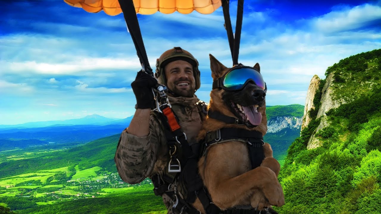 K9 Training in the Wild 🌲🐕‍🦺 | Airborne Parachute Action Compilation. #dog #malinois #k9 