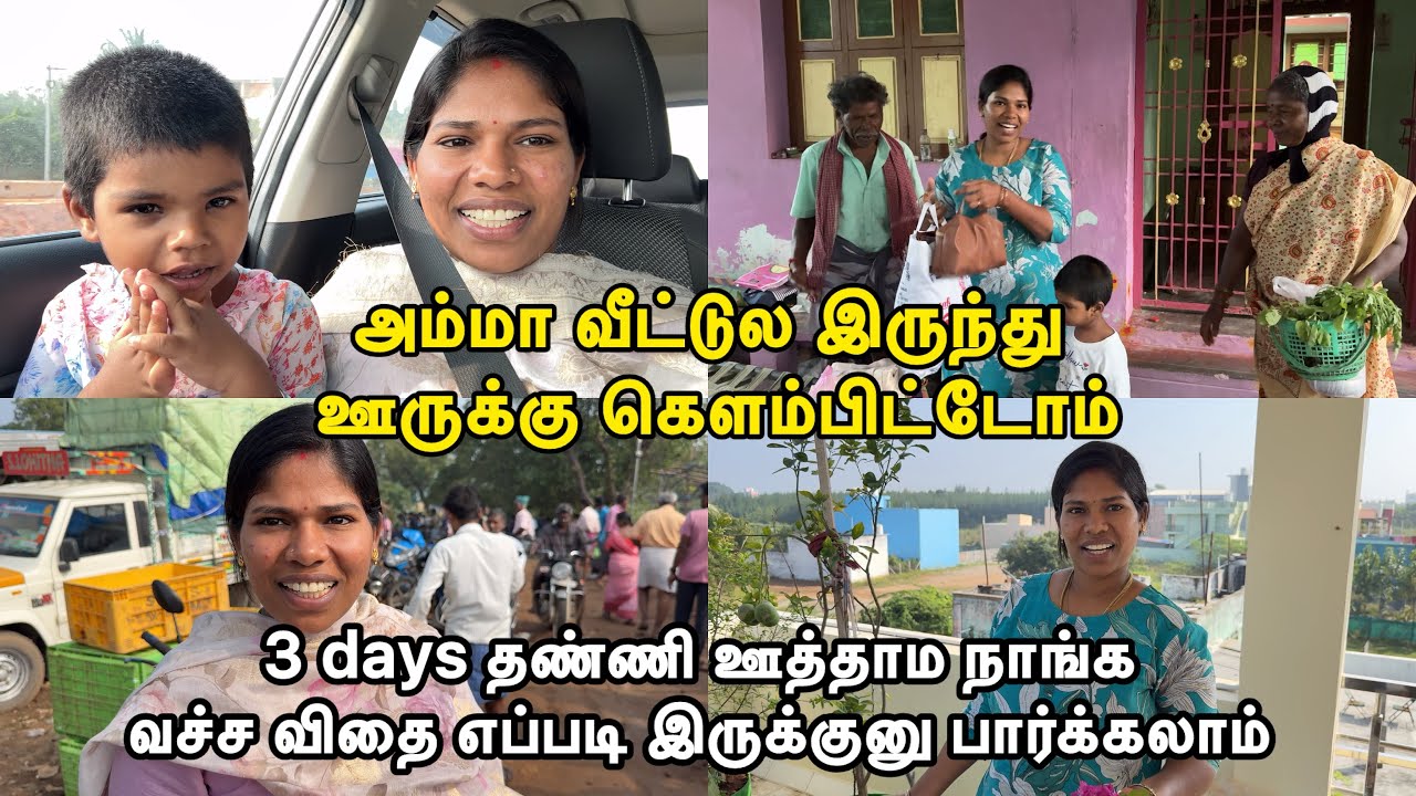 3 days தண்ணி ஊத்தாம நாங்க வச்ச விதை எப்படி இருக்குனு பார்க்கலாம்  🥰| Sangeetha Vinoth | #tamilvlog