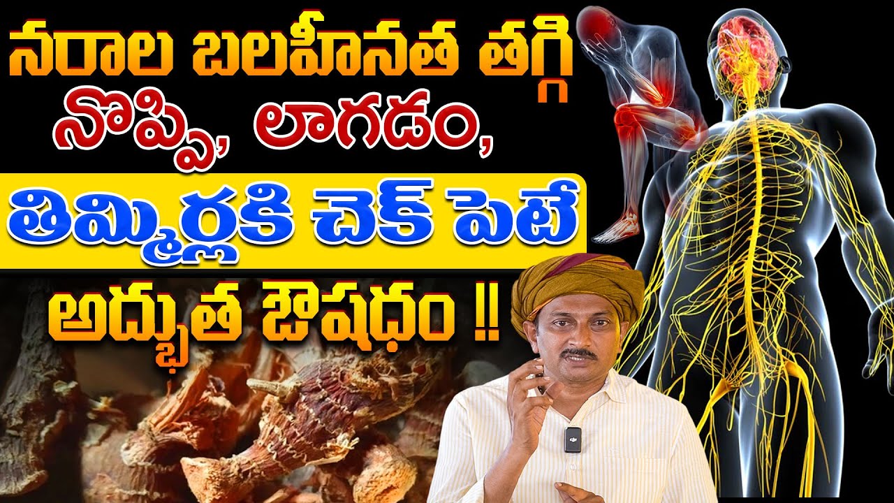 నరాల బలహీనత తగ్గి నొప్పి, లాగడం,తిమ్మిర్లకి చెక్ పెట్టే అద్భుత ఔషధం | Dr.Ravivarma | AYUR MANTRA