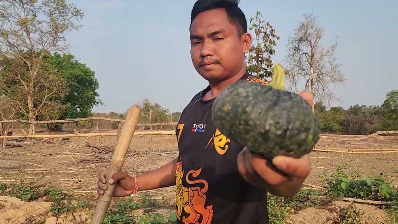 เก็บถั่วขุดมันเช้านี้​ฝากเป็นกำลังใจให้แหน่เด้อพี่น้อง​