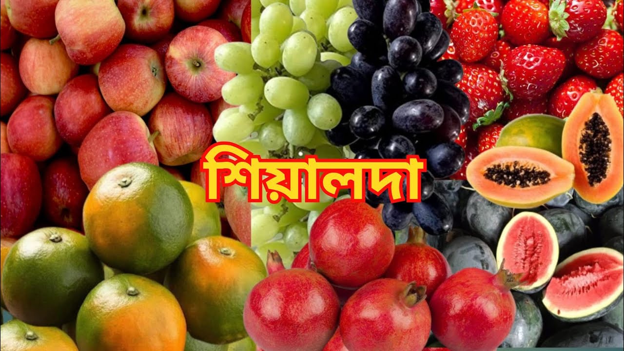 শিয়ালদহ ফলের বাজার l Sealdah Wholesale Fruit Market l Biggest Fruit Market in Kolkata l