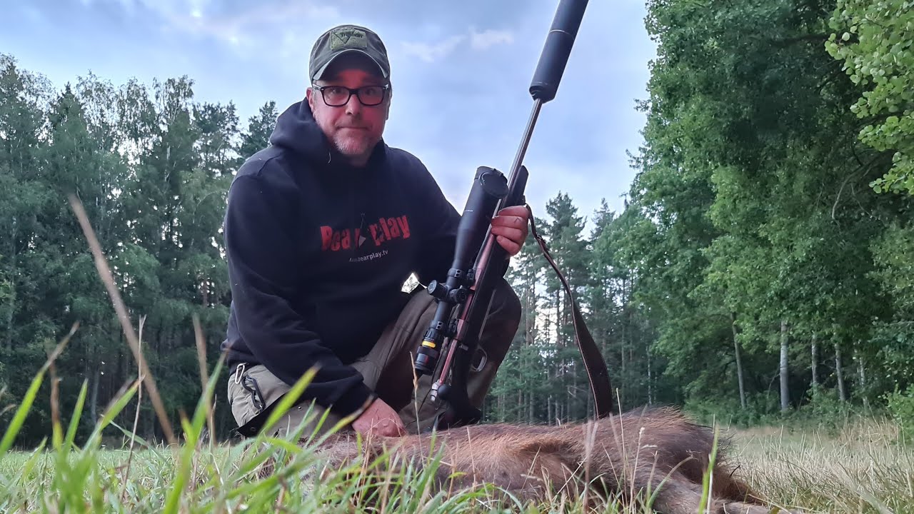 Smygjakt p&aring; Vildsvin i &Ouml;sterg&ouml;tland