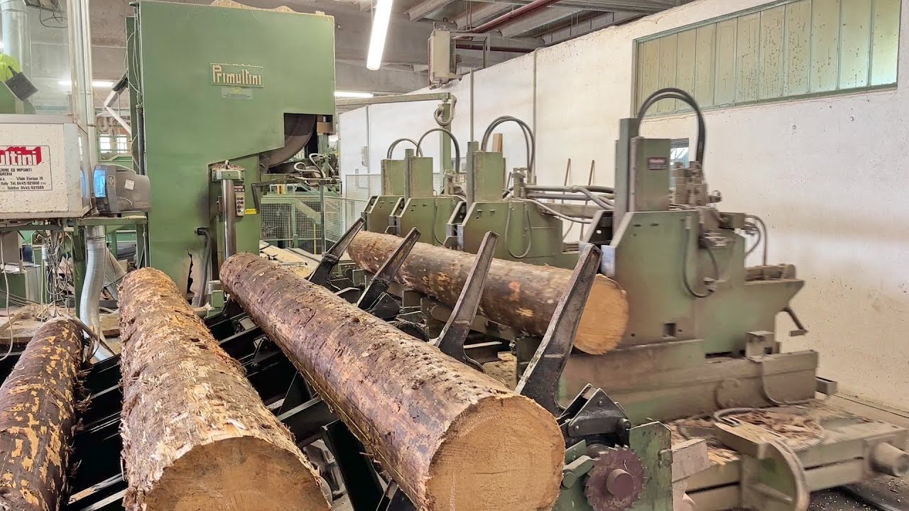 Diba Machinehandel l Primultini log band saw line SHA 1400 CEF IEB