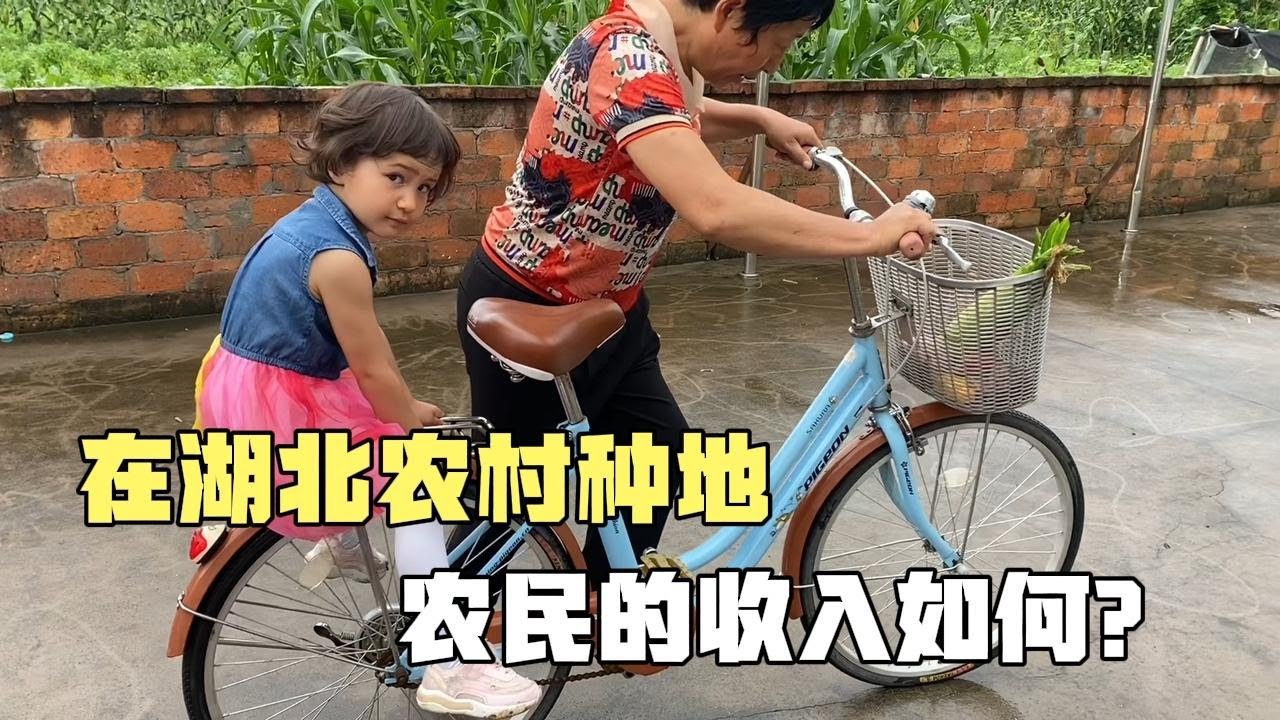 在湖北農村種地，農民的收入怎麽樣呢？快來蘇西的家鄉看壹看～