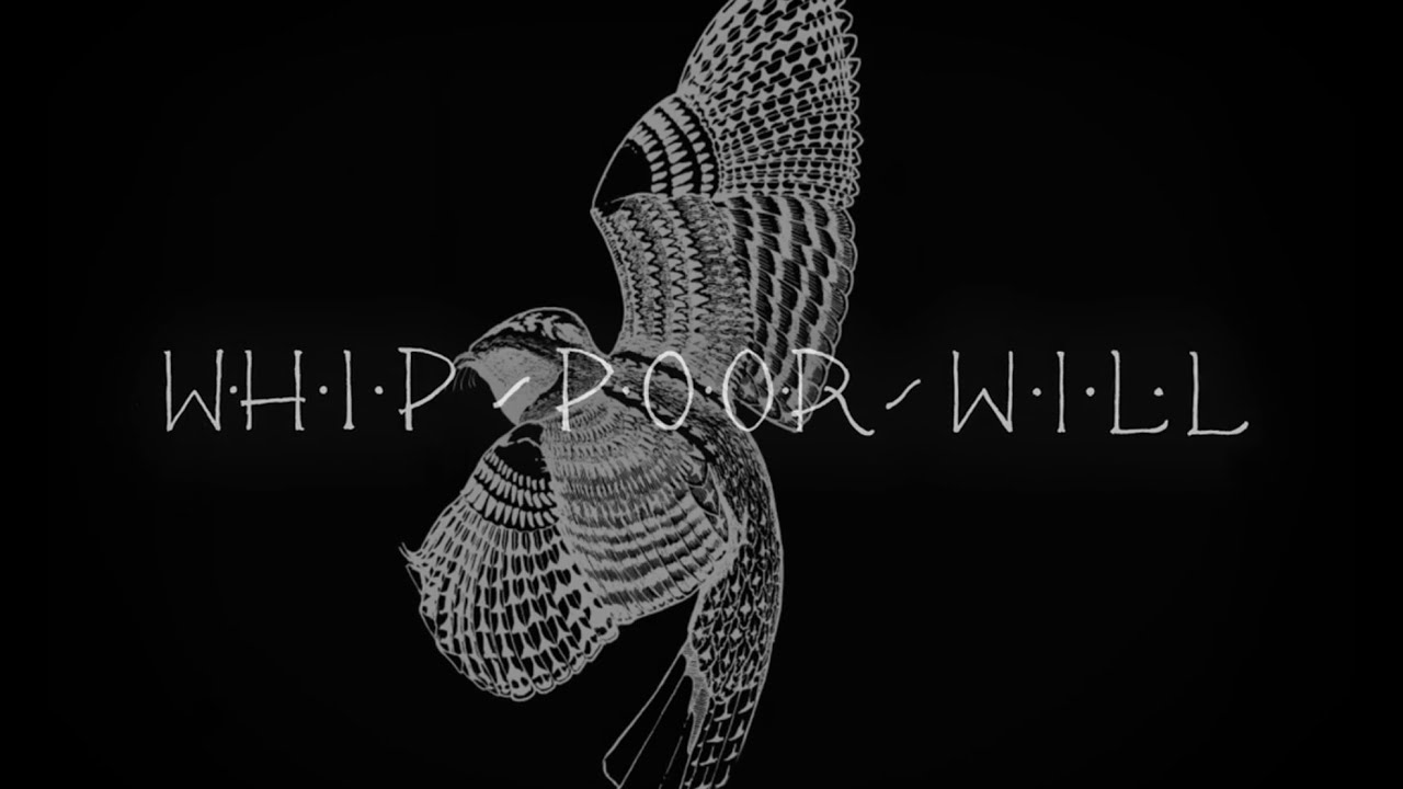 Madeline Finn - Whippoorwill (Official Video)