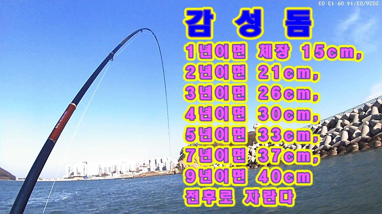 다음  물때가 영등철이다