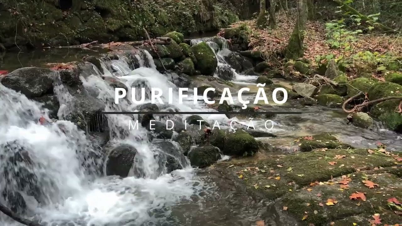 Meditação Guiada – Purificação e Limpeza Energética | Natureza em Portugal · Barrias de Jugueiros