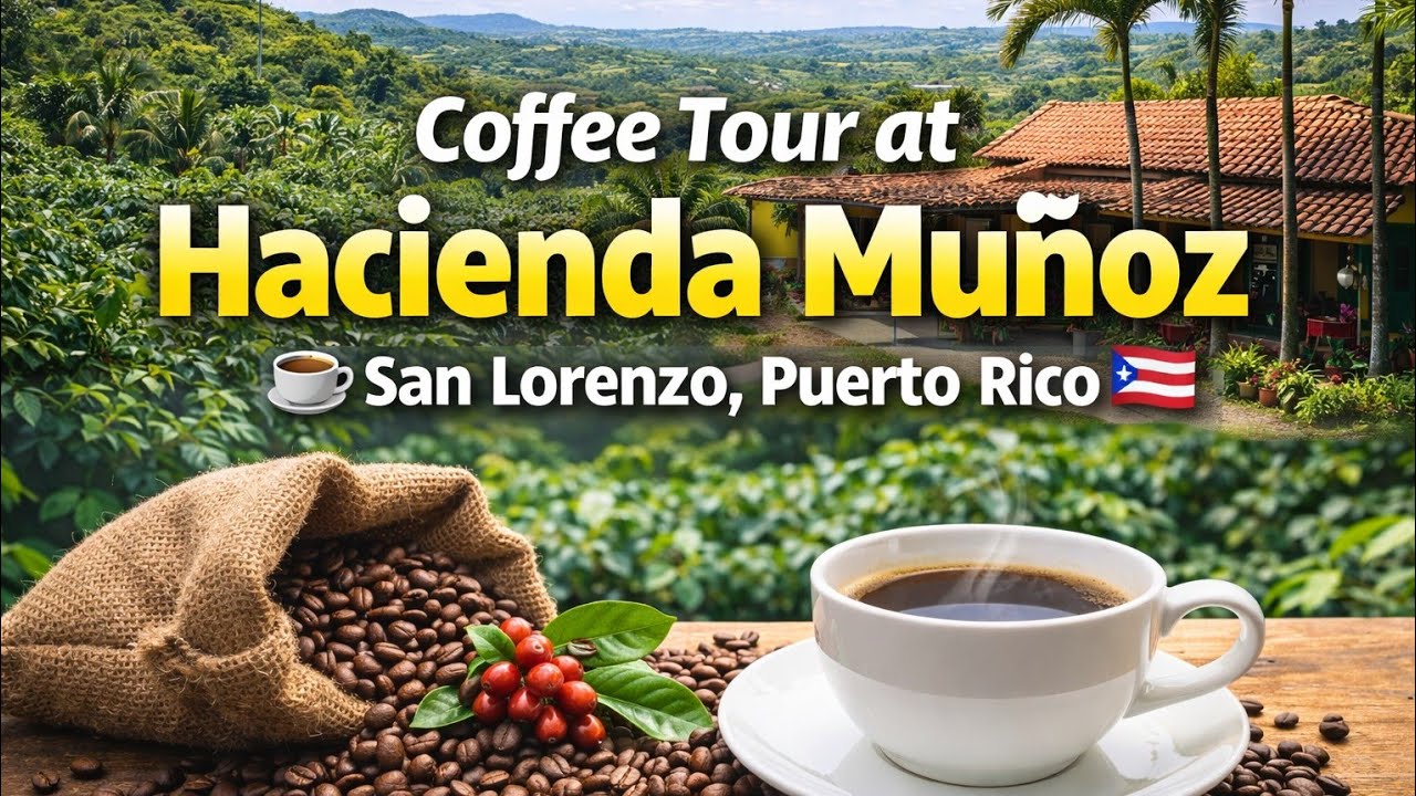 Coffee Tour at Hacienda Muñoz ☕ San Lorenzo, Puerto Rico 🇵🇷