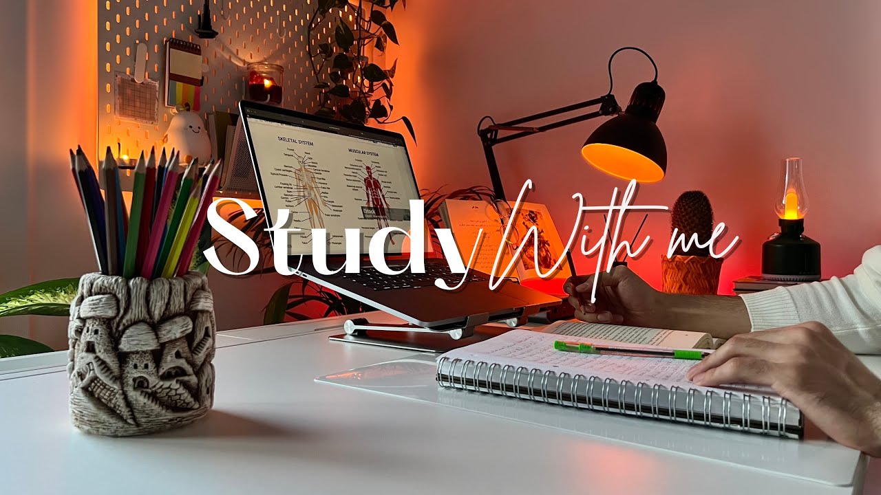 4-Hour Study With Me | Quran recitation | Study with me quran | pomodoro 50/10 | With Anwar