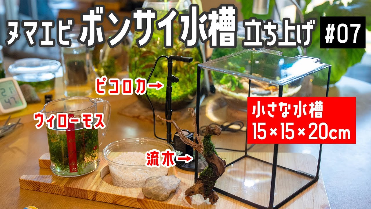 【ボトルアクアリウム 07】ミナミヌマエビの稚魚の為の盆栽水槽 立ち上げ作業