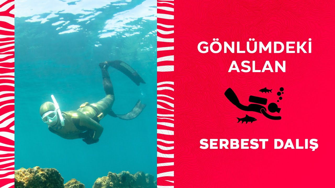 🤿 Ufuk Koçak & Cenk Sulayan - Serbest Dalış | Gönlümdeki Aslan