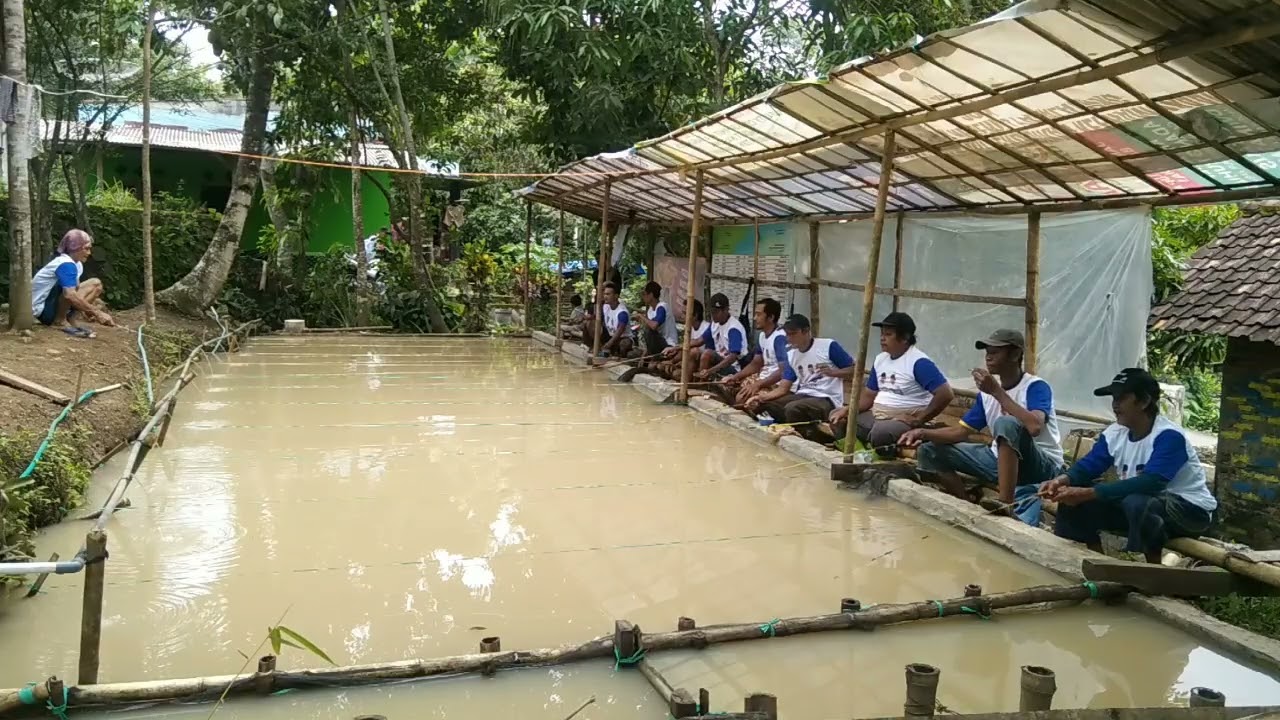 IKAN MAS 15 KILO GK NAIK SATU PUN#lombamancing #viralvideo #fishing #fish #trending