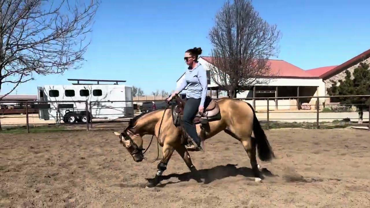 Gottashockyah March 26