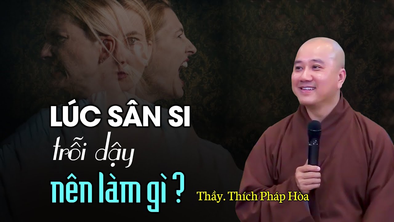 Lúc sân si trỗi dậy ta nên làm gì ? Thầy Thích Pháp Hòa