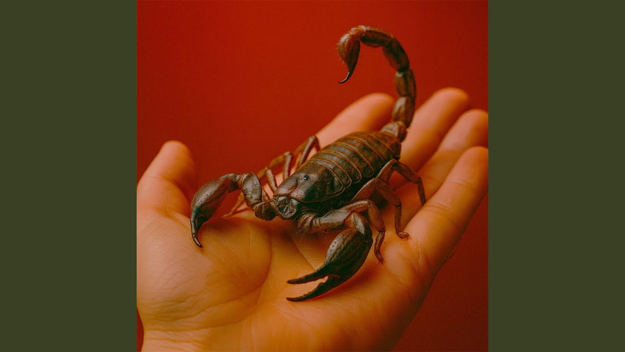 Alacr&aacute;n Ponzo&ntilde;oso
