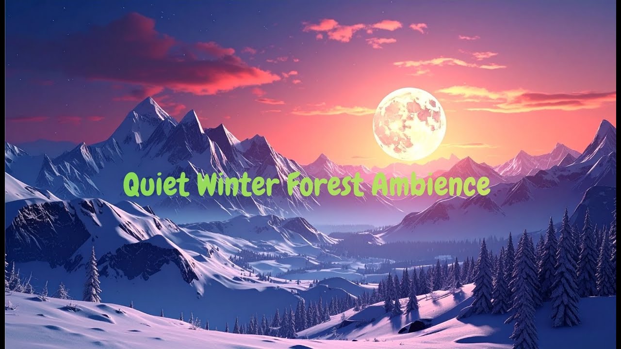 🌨️🌲 Quiet Winter Forest Ambience / Ambiente Silencioso de Bosque Invernal