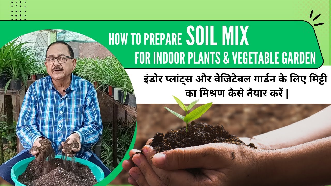 The Best Soil Mix for Indoor Vegetables I How to Prepare Soil Mix for Indoor plants