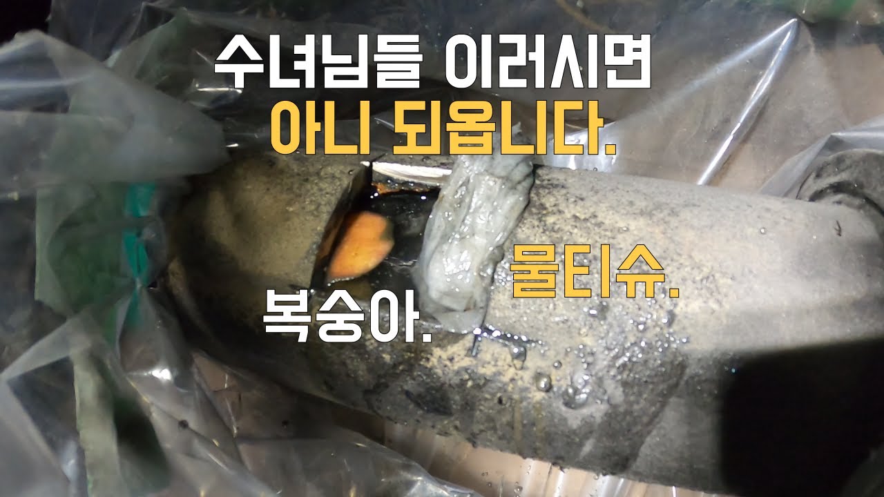 수녀님들 하수구에 이런거 버리시면 안되요~~Sisters, you can't throw this stuff down the drain.