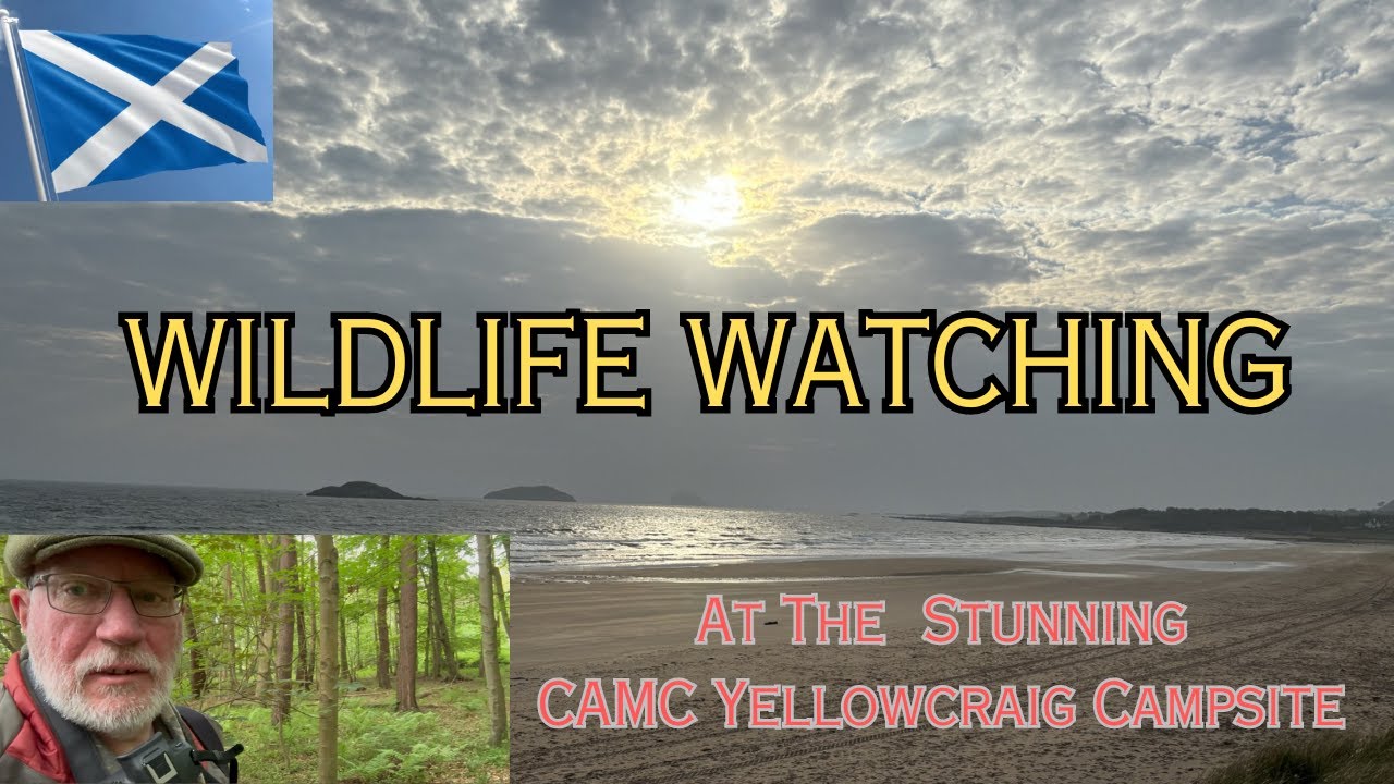 WILDLIFE WATCHING - at the Stunning CAMC YELLOWCRAIG Campsite - SCOTLAND MOTORHOME TOUR (12)