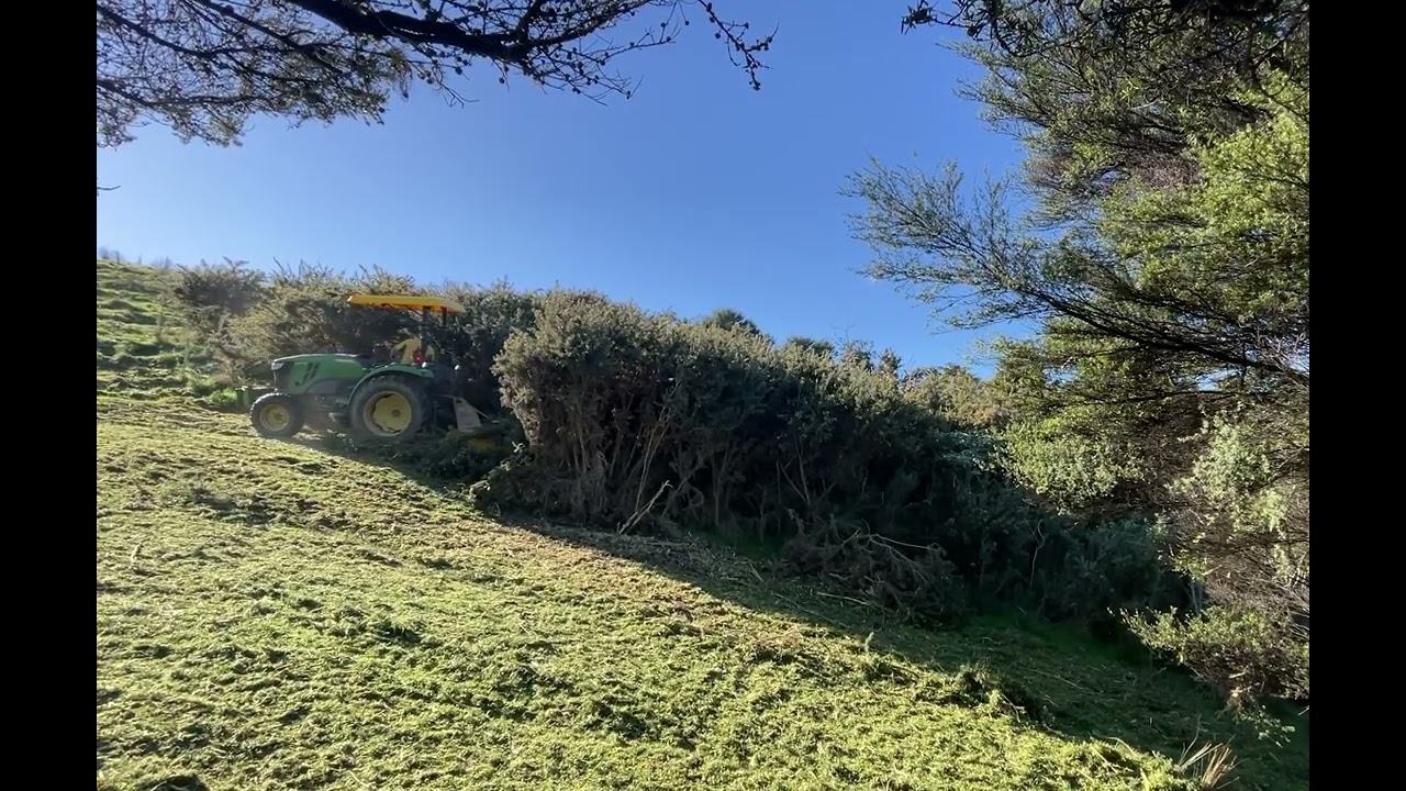New Zealand Gorse Mulching
