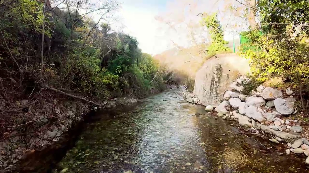 şahinderesi