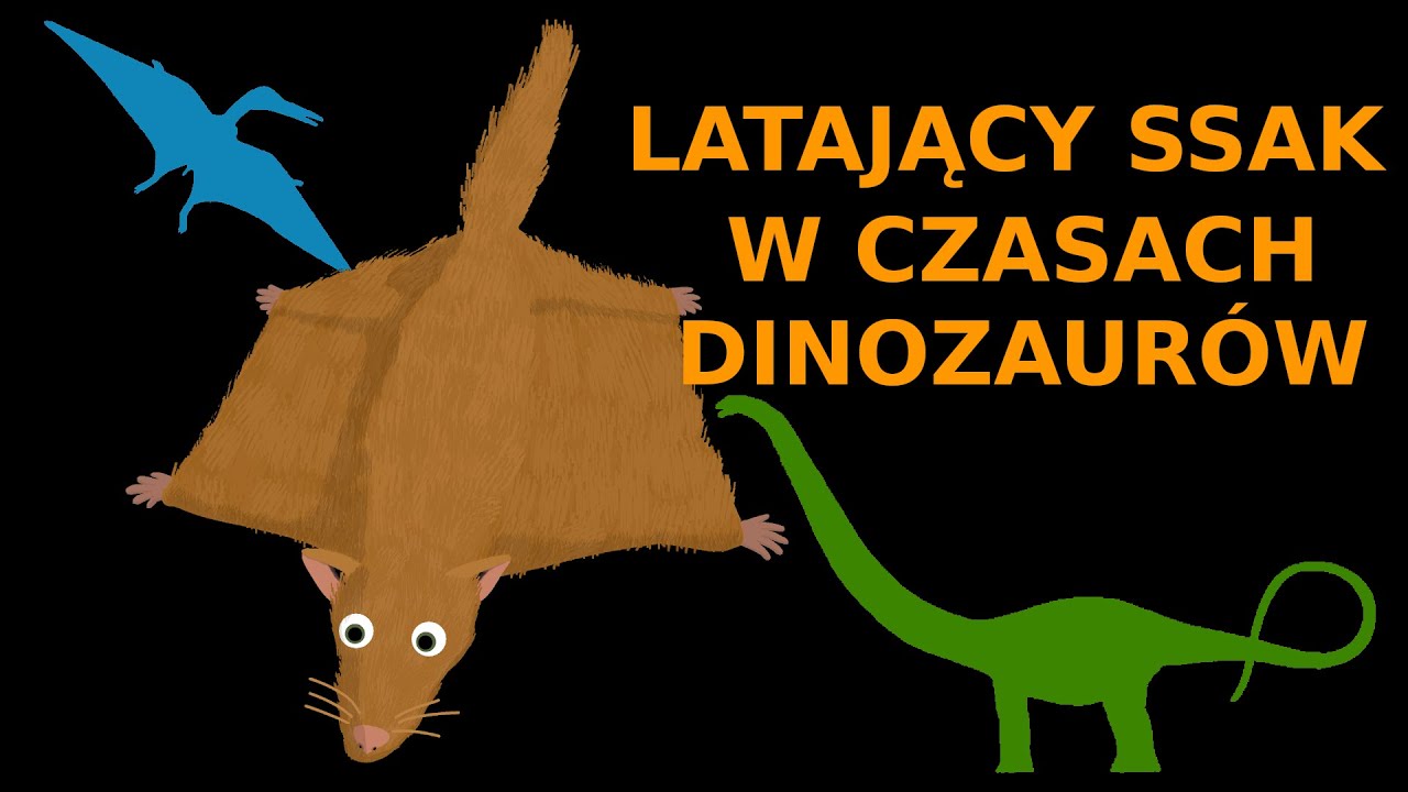 Volaticotherium - szybujący ssak ery dinozaurów