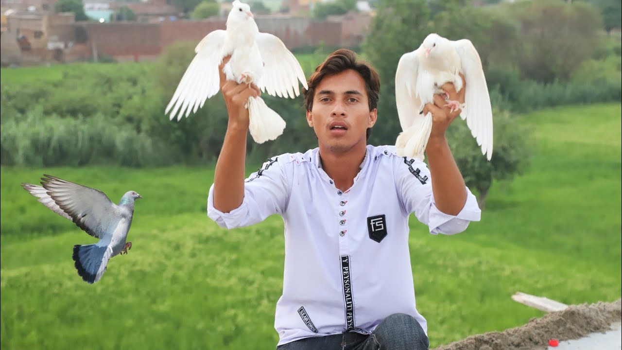 New 2 Lucky Kabooter Buy | Nasir Vlogs
