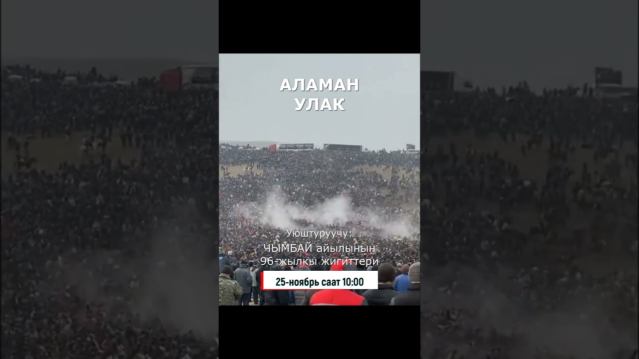Аламан улака чакыруу 25-ноябрь