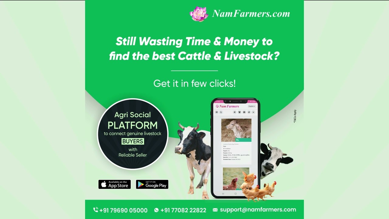 Namfarmers.com makes it easy to buy cattle and livestock for the best price | NamFarmers.com