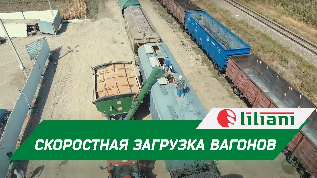Скоростная загрузка вагонов зерном в АО АГРОКОМПЛЕКС. Ростовская область