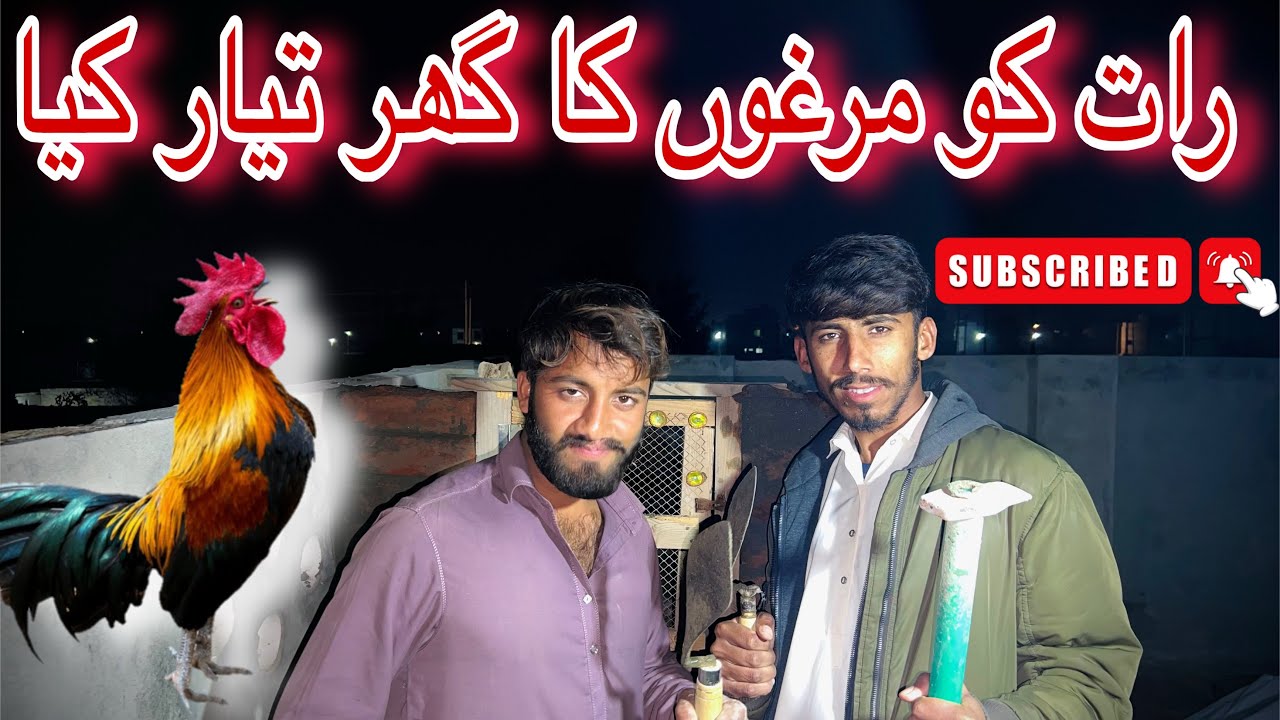 Murga ka ghar tiyar kr diya 🐓#unfrezzmyaccount #100k #vlog #views #👍