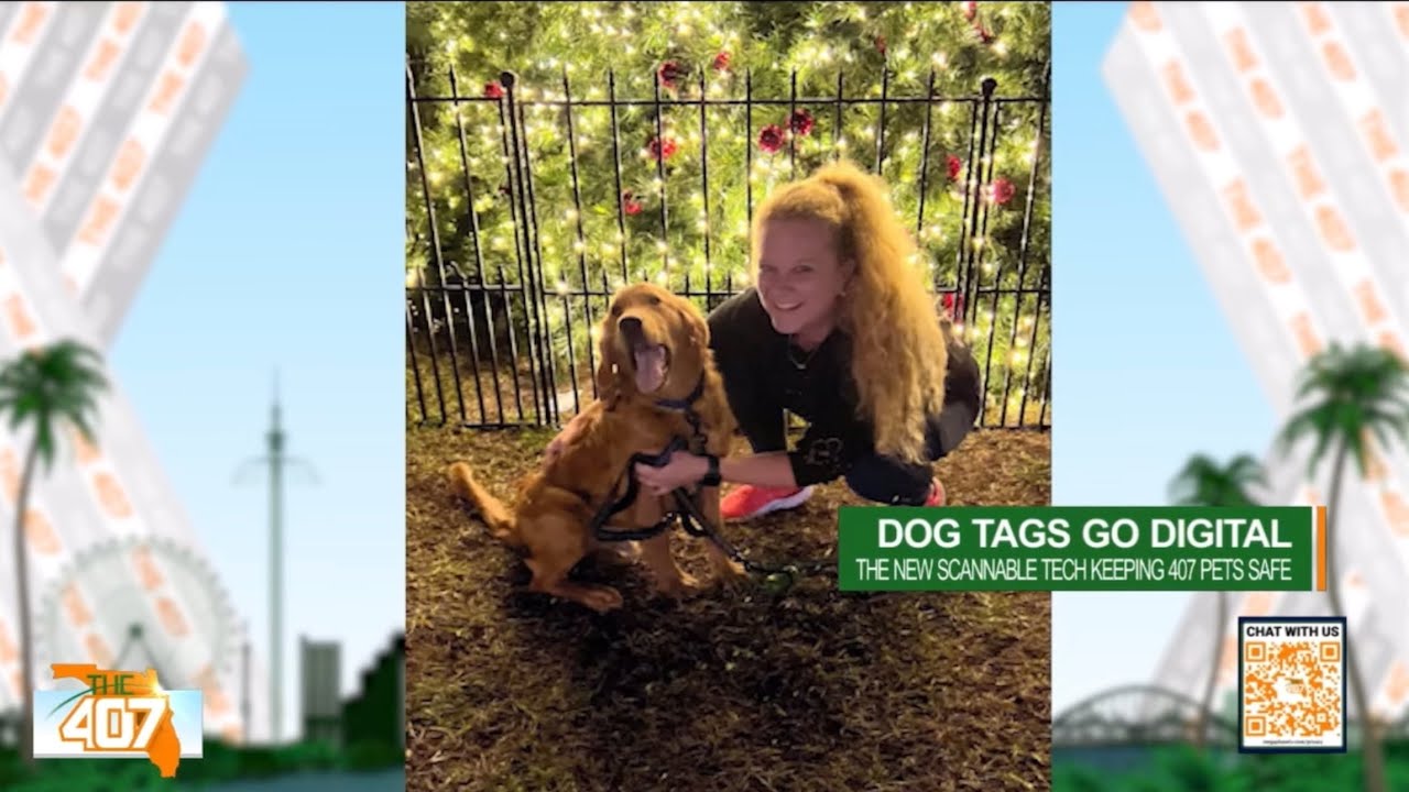 Kim Sanders founder of Bark-ID The Worlds Smartest Dog Tag, On the news