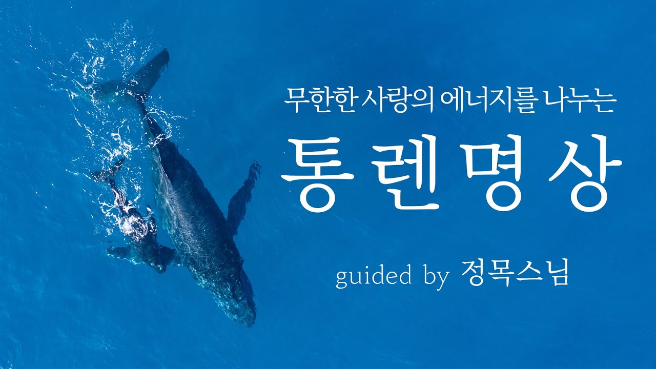 무한한 사랑의 에너지를 나누는 통렌명상 / guided by 정목스님