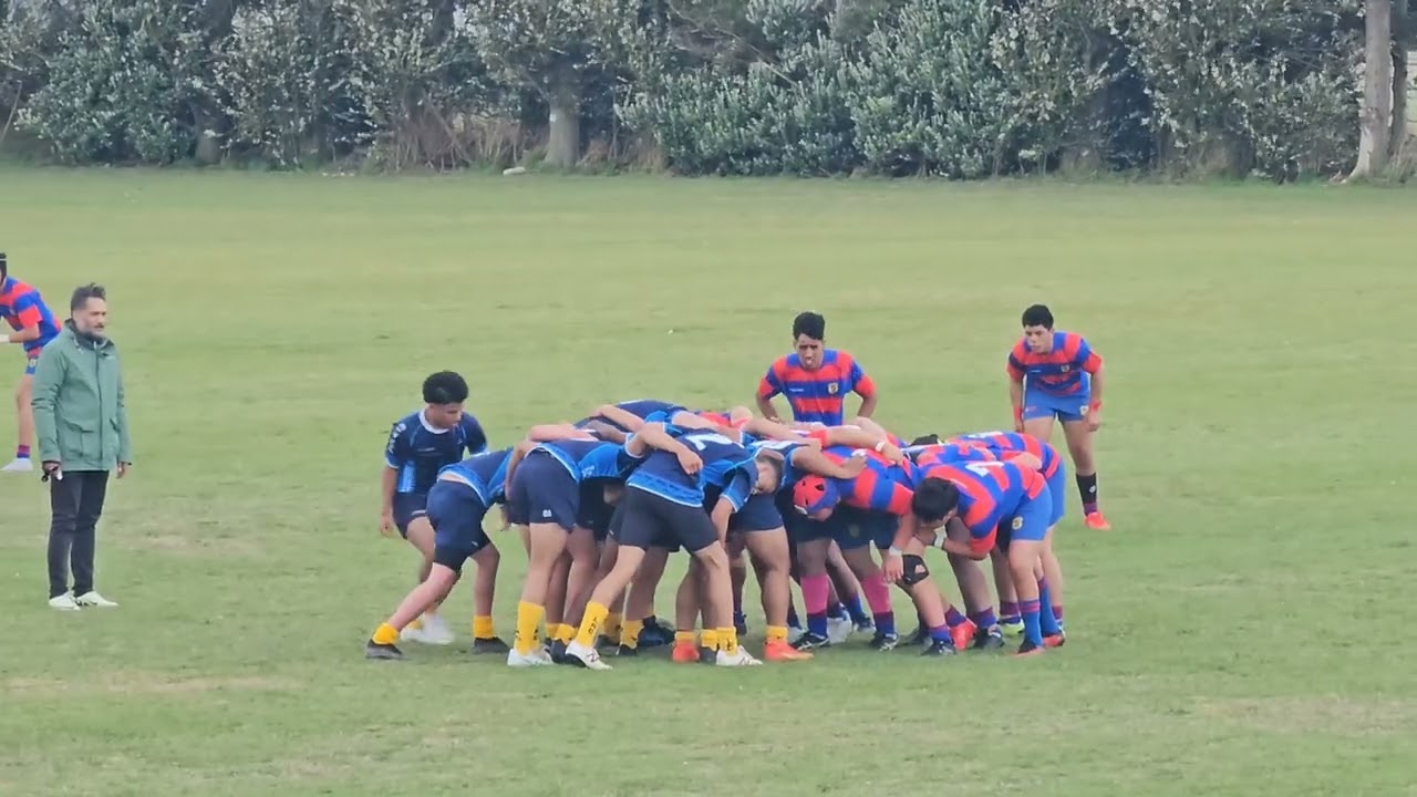 Hato Paora Rugby 27th March 2024