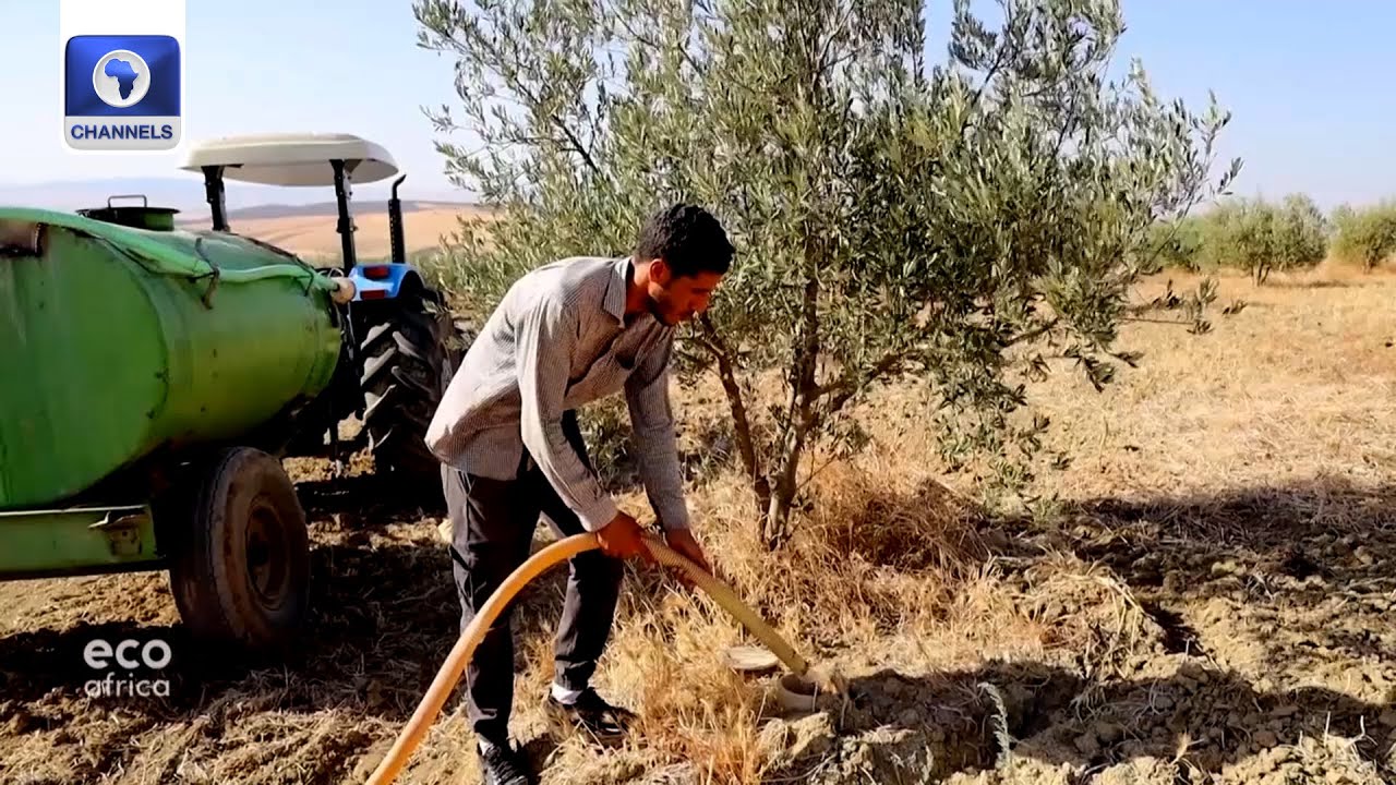 Drought, And How People Cope With It | EcoAfrica