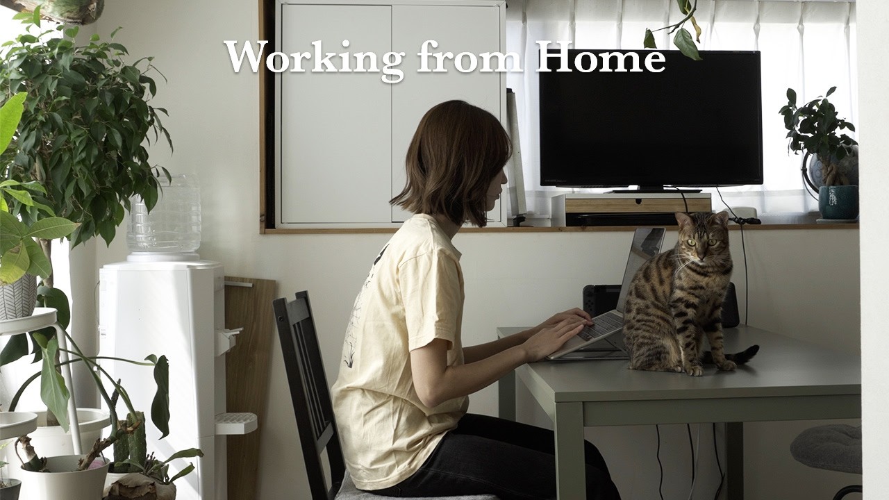 【vlog】在宅ワークでよく働いた日の過ごし方💻猫と暮らすフリーランスの日常🌿1R12畳ふたり暮らし