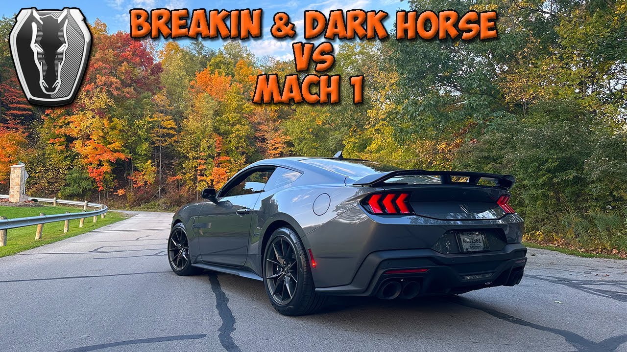 Dark Horse Break In раскрывает мощь! Mustang 2024 Dark Horse против Mach 1