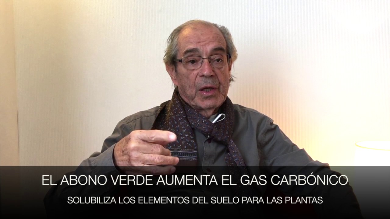 CÓMO hacer siembra directa ecológica rentable: PASOS y COSTES con el Profesor Pinheiro