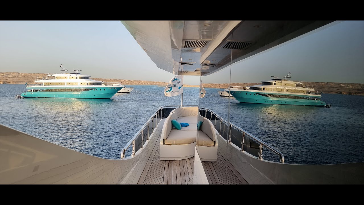 Kitesafari Red Sea April 2023 #kitesafari.academy #kite-marine.com