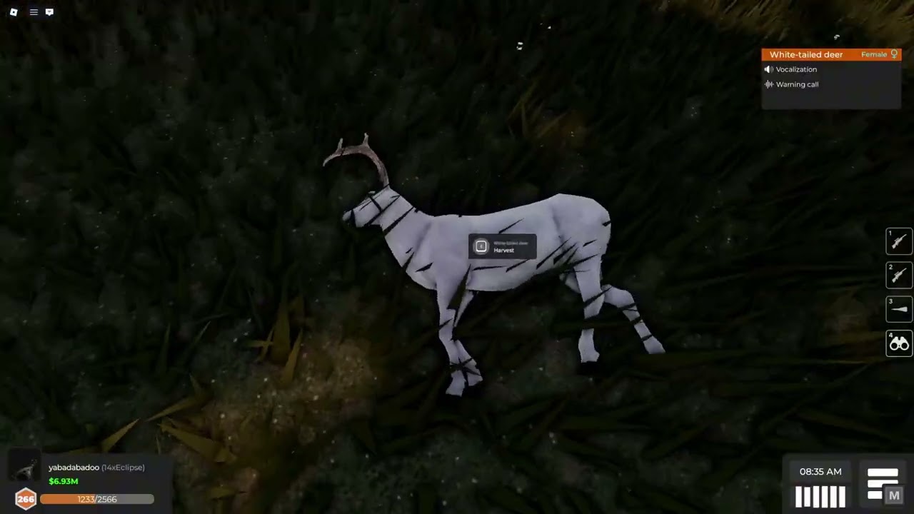 Ruby Albino White tailed deer