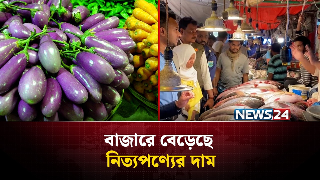 বাজারে প্রতি কেজি বেগুন ৪০ থেকে ৬০ টাকা দরে বিক্রি | NEWS24