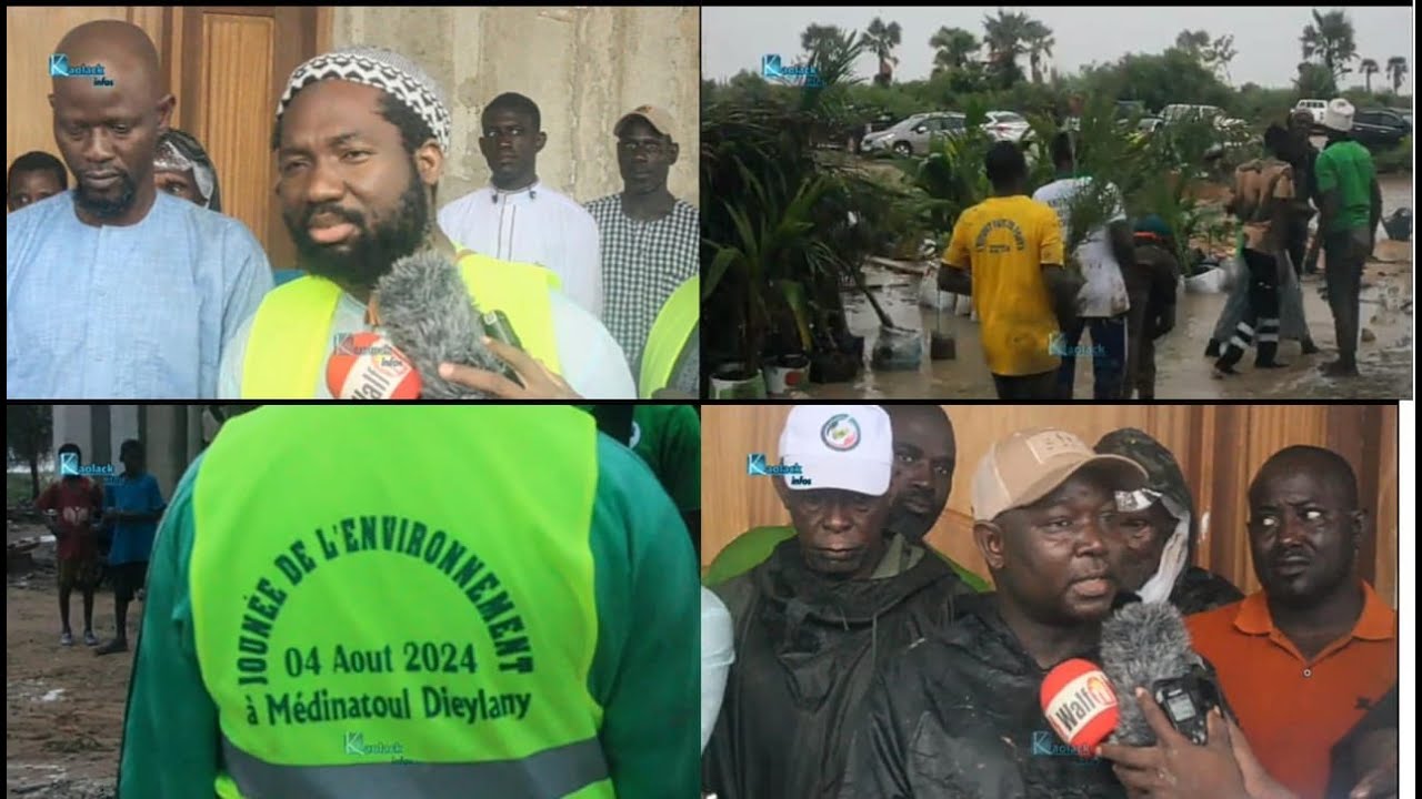 Journée de l'arbre: Cheikh Ibrahima Diallo et les fidéles reverdissent Médinatoul Diéylani