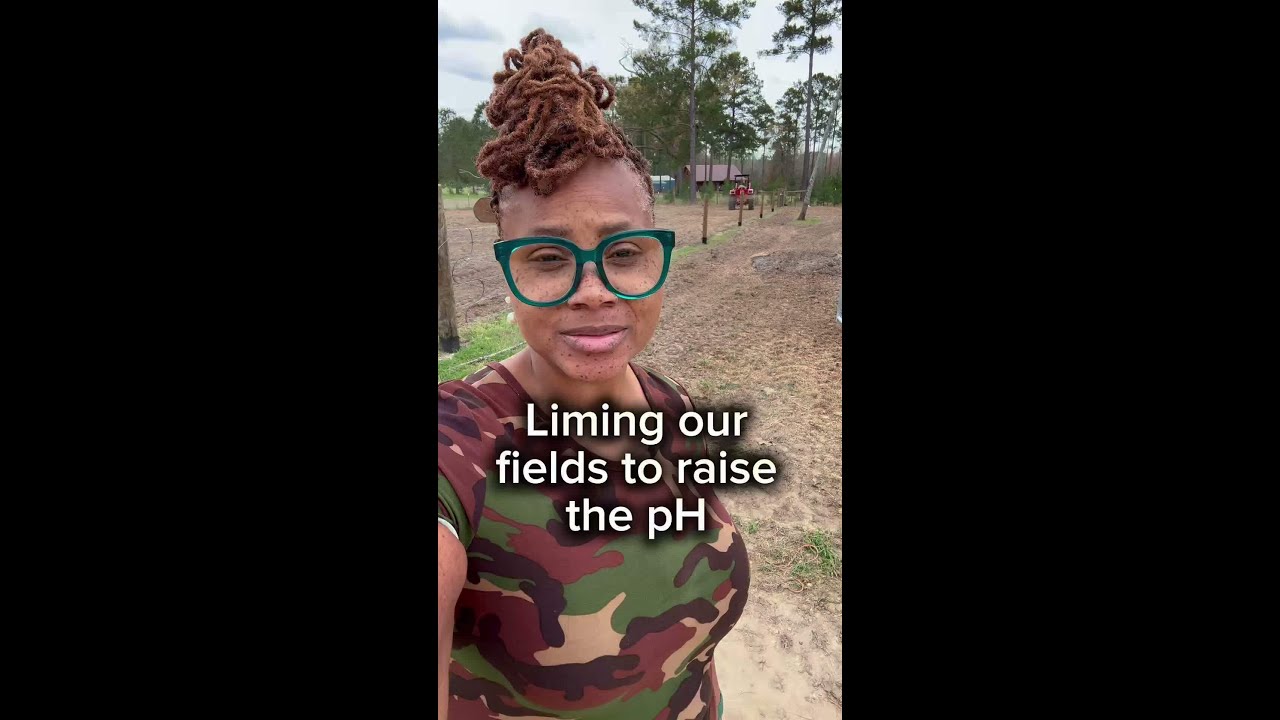 Liming our fields to raise the pH #AmenSomebody