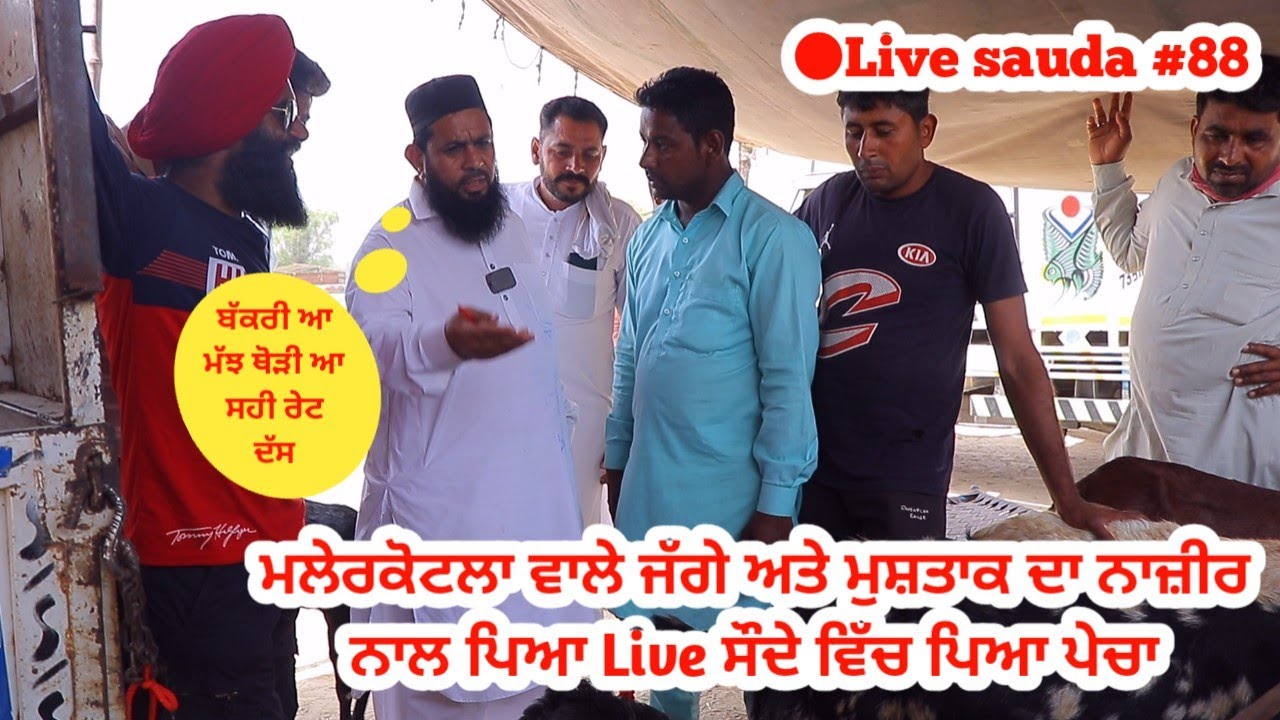 नजीर के Live सौदे - Live sauda 88- Tung wali bakra mandi @ILTILANATV