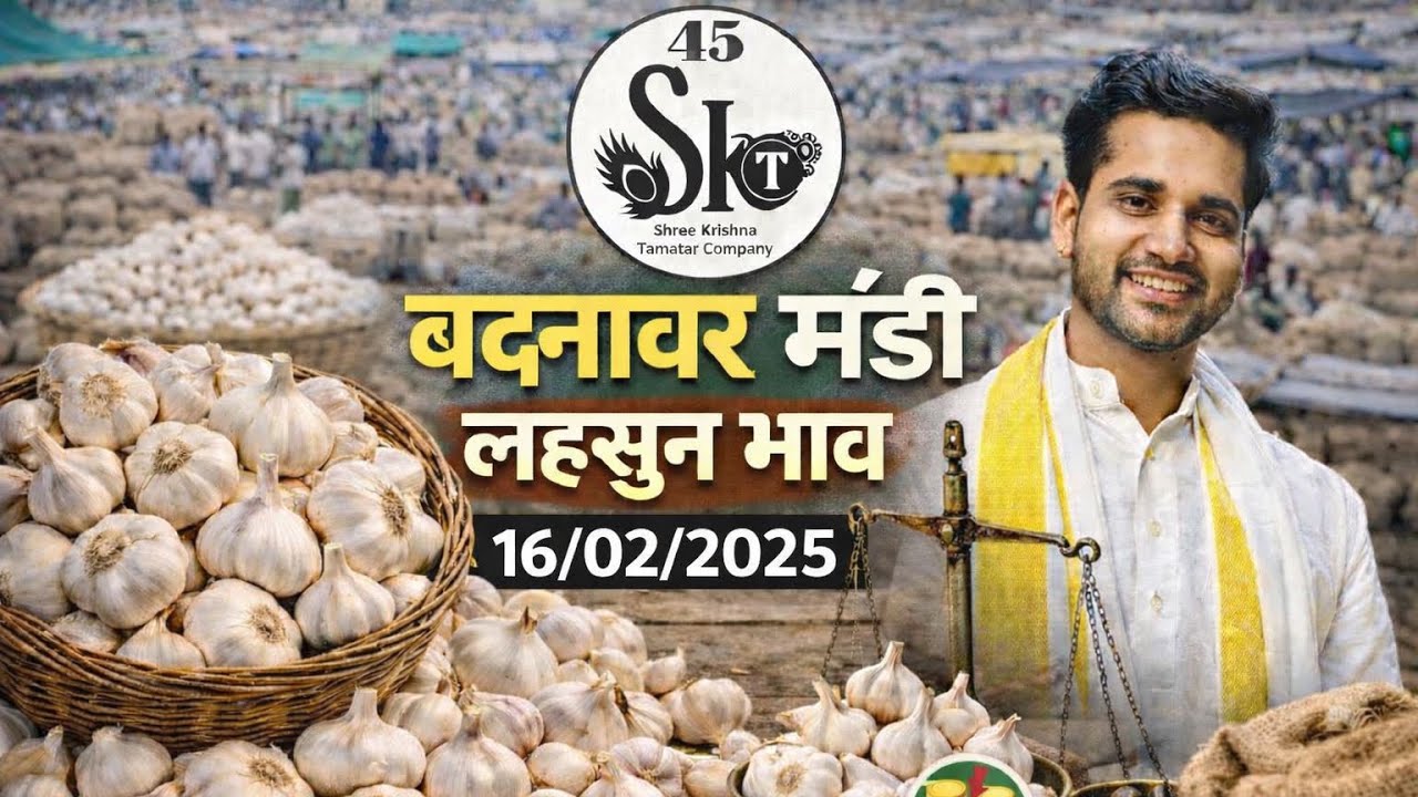 बदनावर मंडी भाव| दिनांक 16 फरवरी 2026| लहसुन भाव|#garlic #daily #badnawarmandibhav #mandibhav 